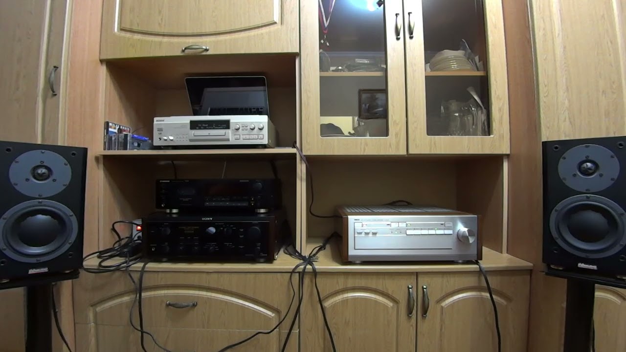 Dynaudio focus 110. 