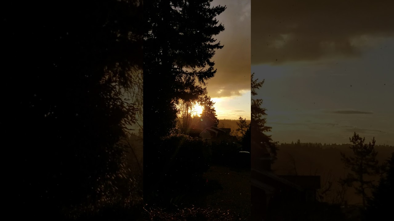 Sunset Hale