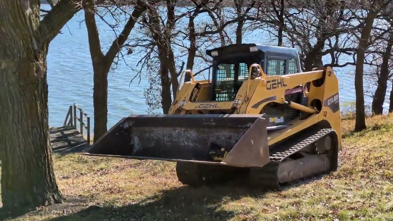 Cutting and Knocking Down Dead Oak Trees with the Track Loader Along the Lake