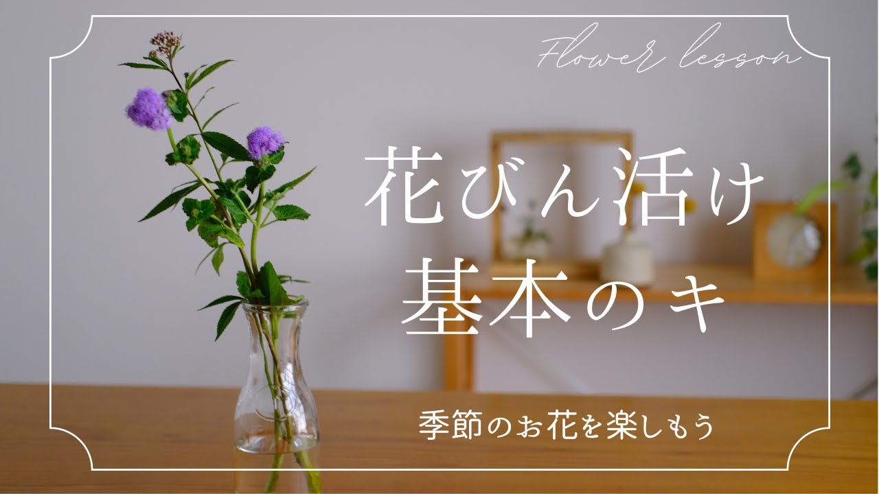 【花びん活け基本のキ】はじめての花びん活け お花と花瓶のバランス 茎の切り方 お花の活け方　京都フラワーアレンジ教室