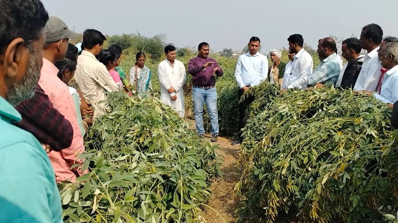 #SRT कार्यशाळा हिवरा दरणे, विकासगंगा संस्था चंद्रपूर व घाटंजीच्या महिला शेतकरी बांधव व भगिनींची भेट 