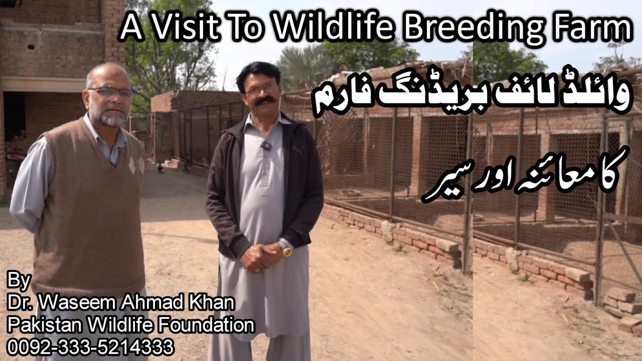 A Visit And Inspection Of A Wildlife Breeding Farm | Wildlife Breeding Farm Ki Sair Or Inspection