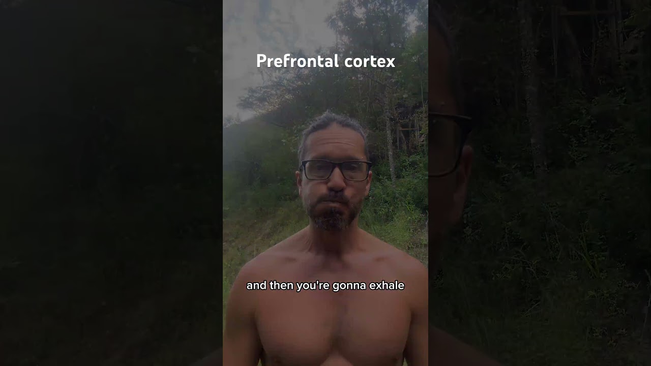 Activate your prefrontal cortex with simple body awareness exercises #lifehacks #prefrontalcortex