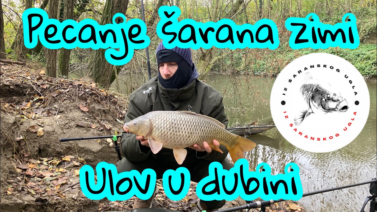 Pecanja šarana na reci,Novembar (4K)/ Ulov u dubini 30. Novembar 2022 River carpfishing in November