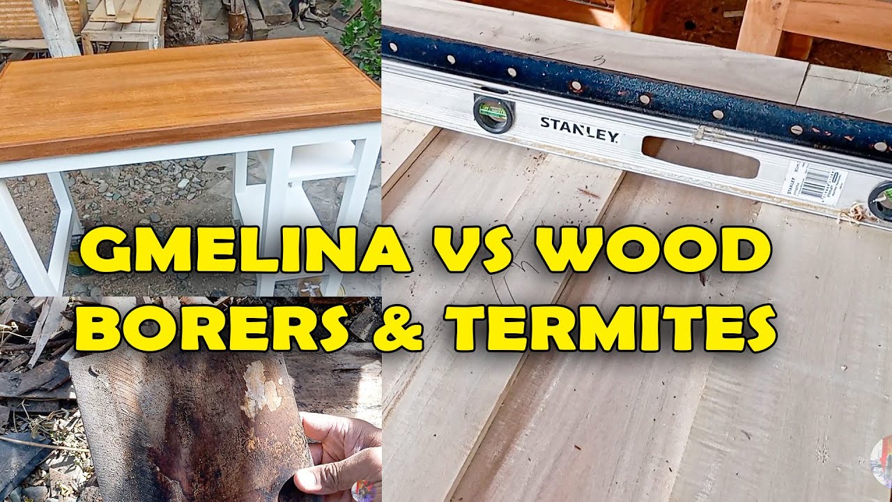 BINUBUKBOK AT INA-ANAY BA ANG GMELINA? PANEL DOOR DESIGN | WOODWORKING TIPS AND IDEAS