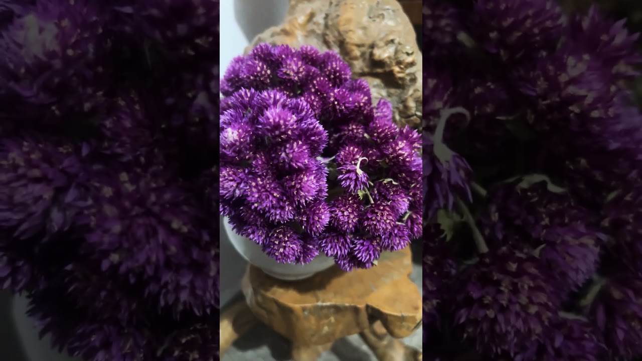 Indoor flower