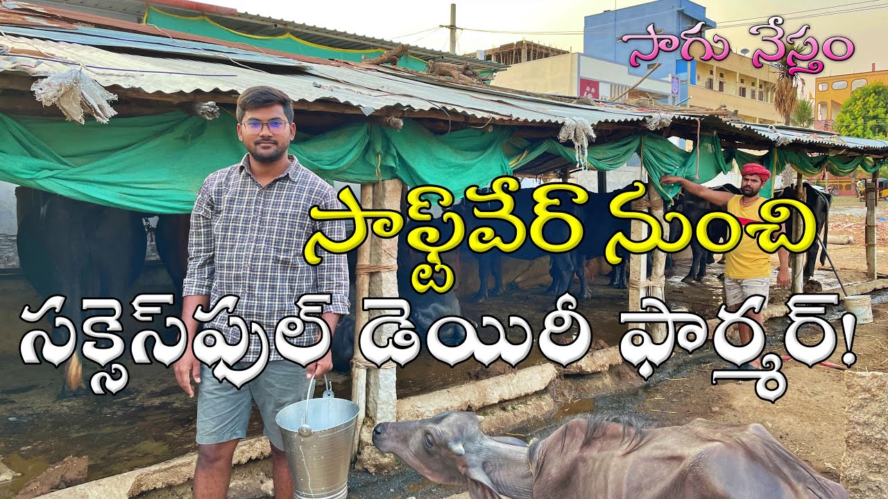 ఐటీ ఉద్యోగి పాల వ్యాపారం ఎలా నడుపుతున్నాడో చూడండి! | Software Engineer Dairy Farm | Sagu Nestham |