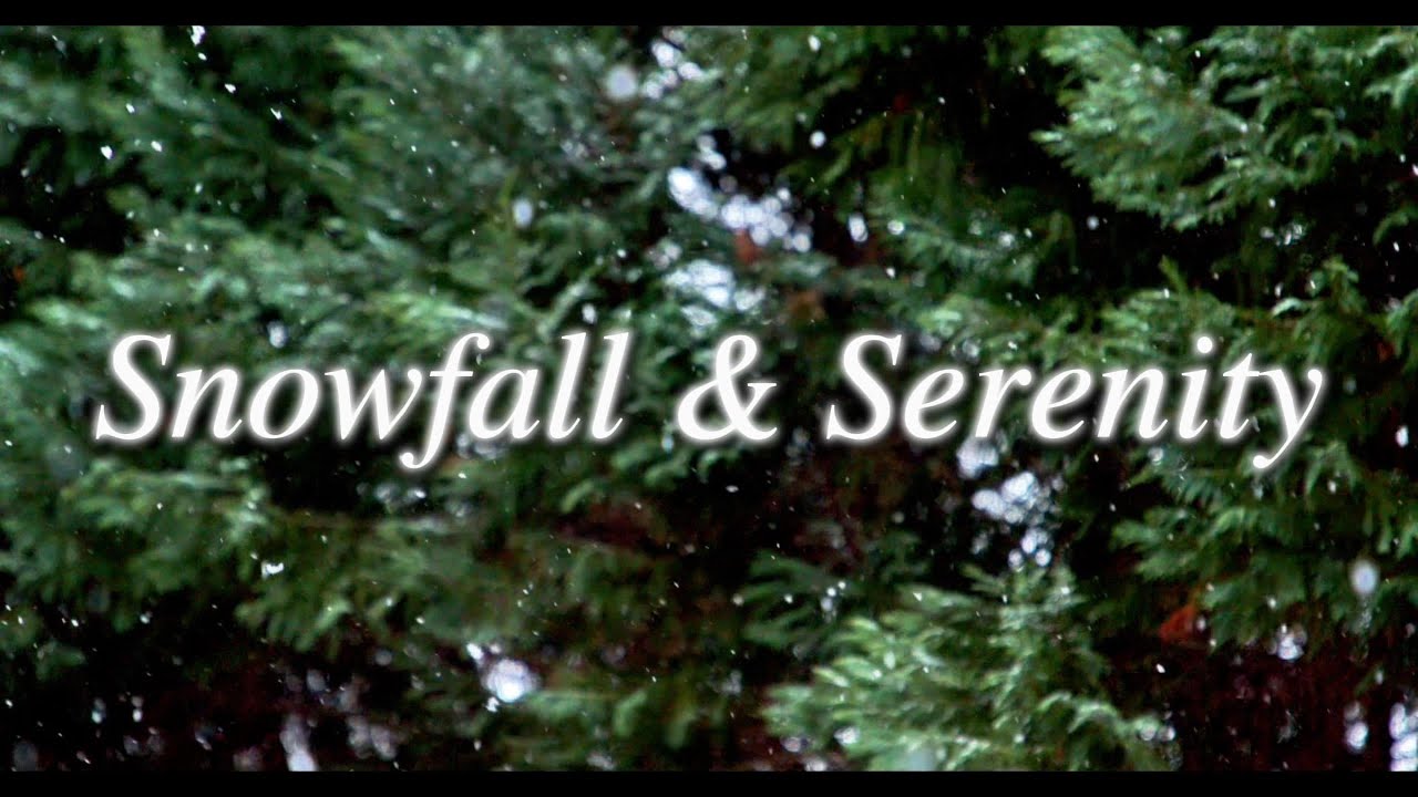 Snowfall & Serenity | Calming Meditative Music for Relaxation, Sleep & Mindfulness