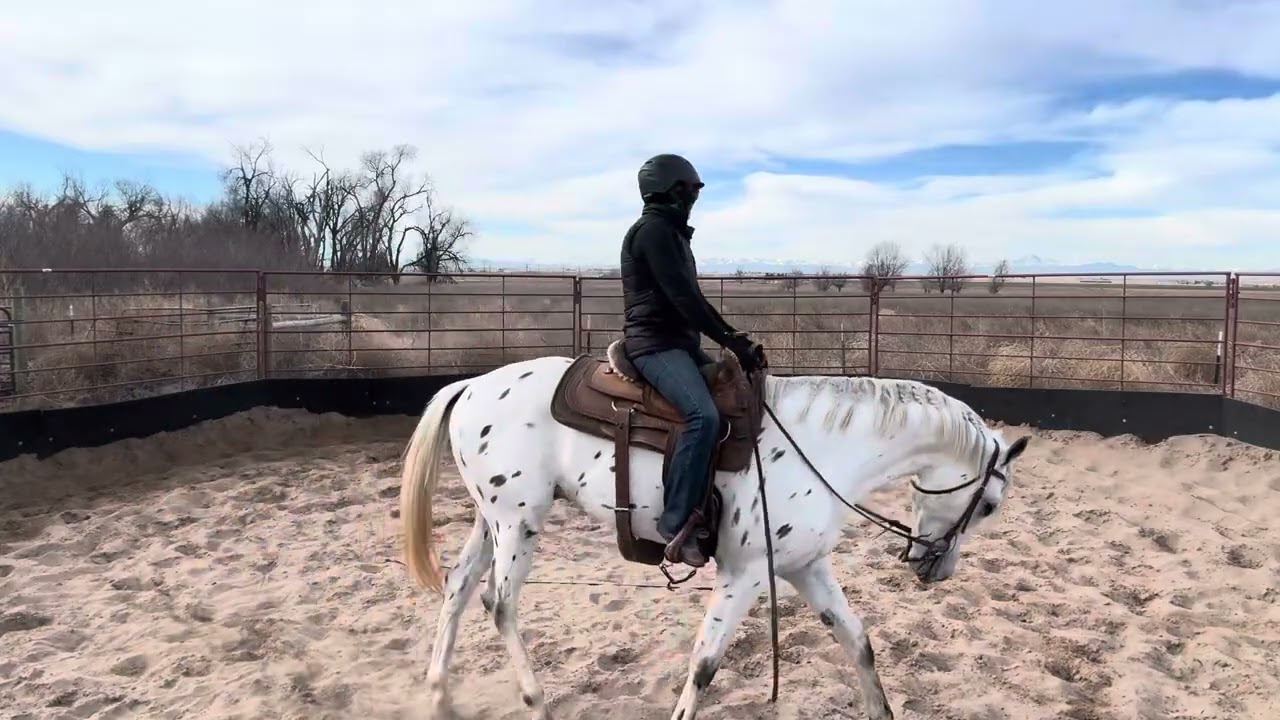 Peter ride 1/12