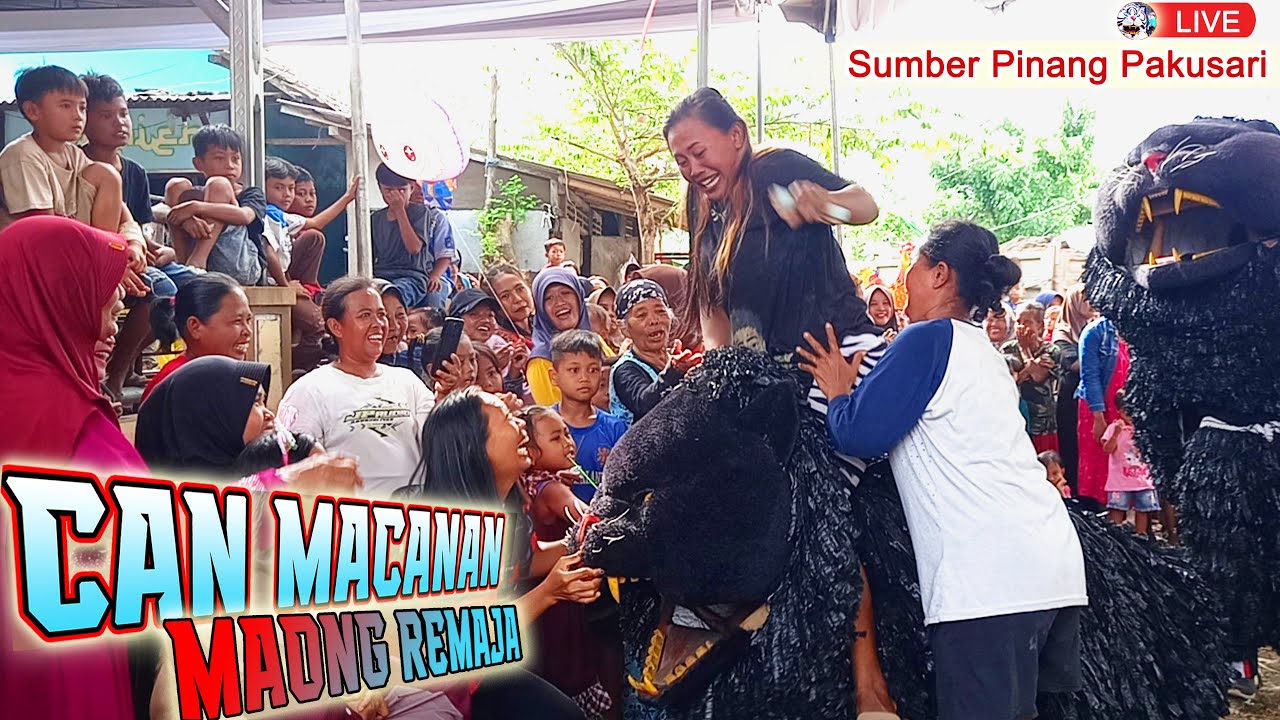 CAN MACANAN MAONG REMAJA LIVE SUMBER PINANG PAKUSARI