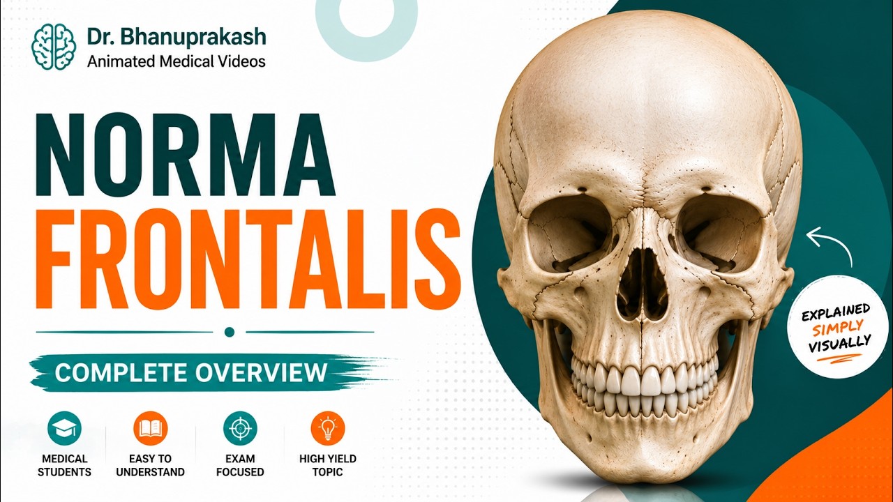Anatomia czaszki: Norma Frontalis
