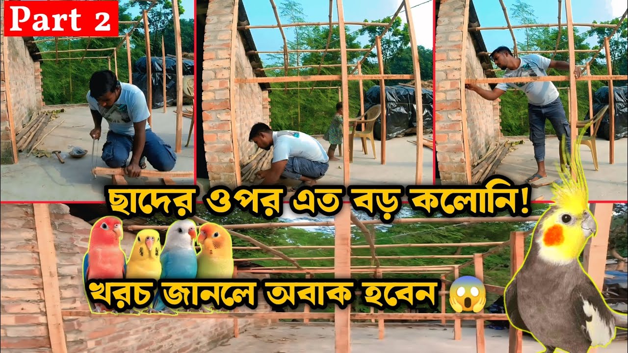 বাড়ির ছাদে স্বপ্নের মতো পাখির ঘর তৈরি করলাম!Part2 🕊️ খরচ জানলে চমকে যাবেন! 🤯@GramarChele-g2o  