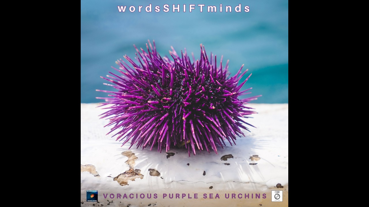 Voracious Purple Sea Urchins (work in progress)