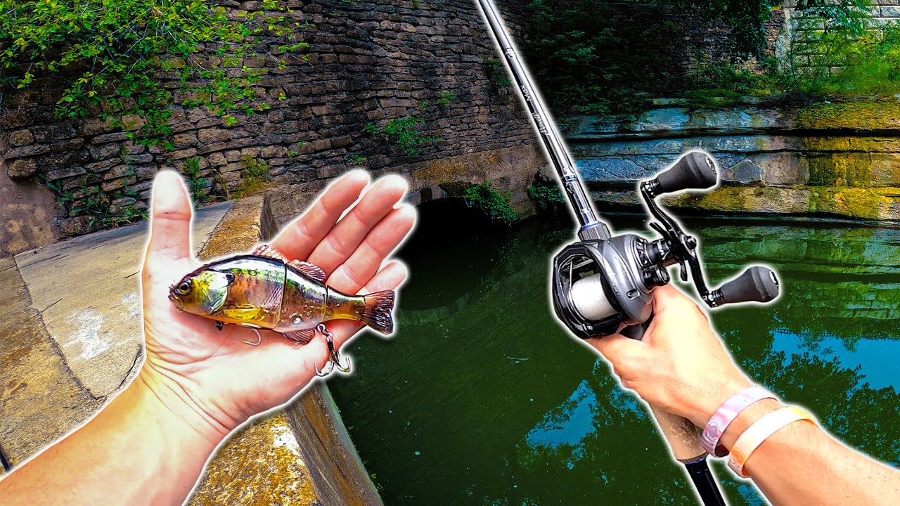 Throwing SWIM BAITS in DOWNTOWN Dallas (Urban Fishing DISASTER!)