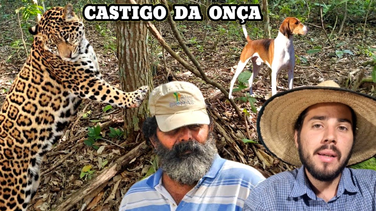 A ONÇA que excomungou o Caçador na sexta feira Santa.. Causos Caipiras