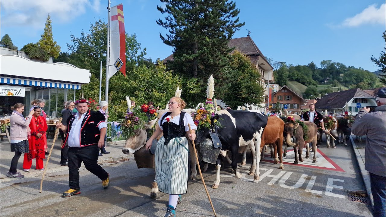🇨🇭 Alpfahrt / Alpabzug 🐄 - Switzerland’s Stunning Cow Parades / Desalpe  Tradition in Alps | 4K