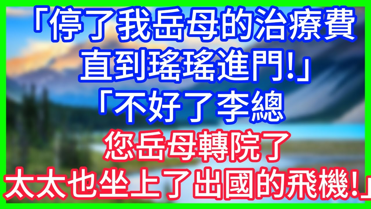 【爽文】「停了我岳母的治療費，直到瑤瑤進門！」「不好了李總，您岳母轉院了，太太也坐上了出國的飛機！」#情感故事 #生活經驗 #老年生活 #為人處世
