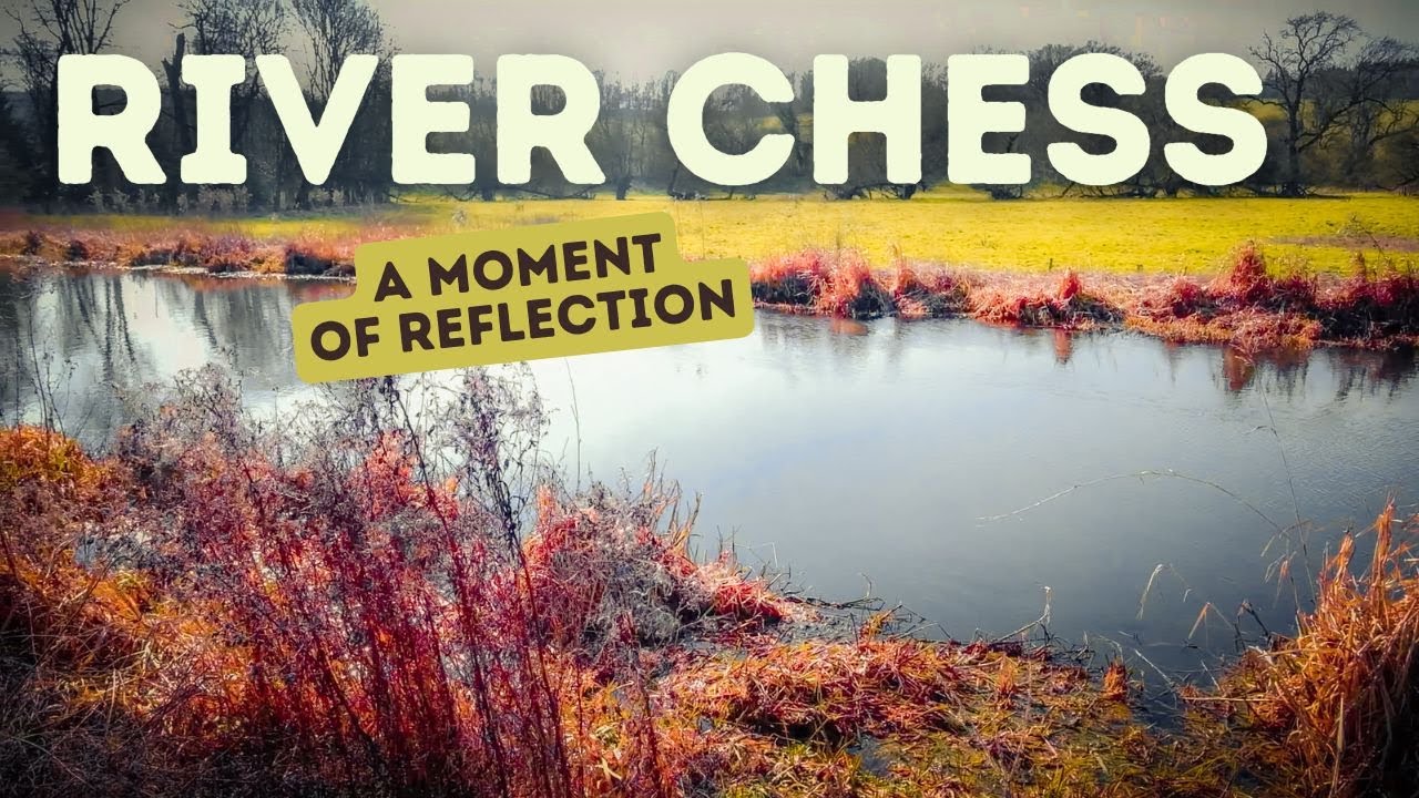 River Chess &ndash; A Moment of Reflection