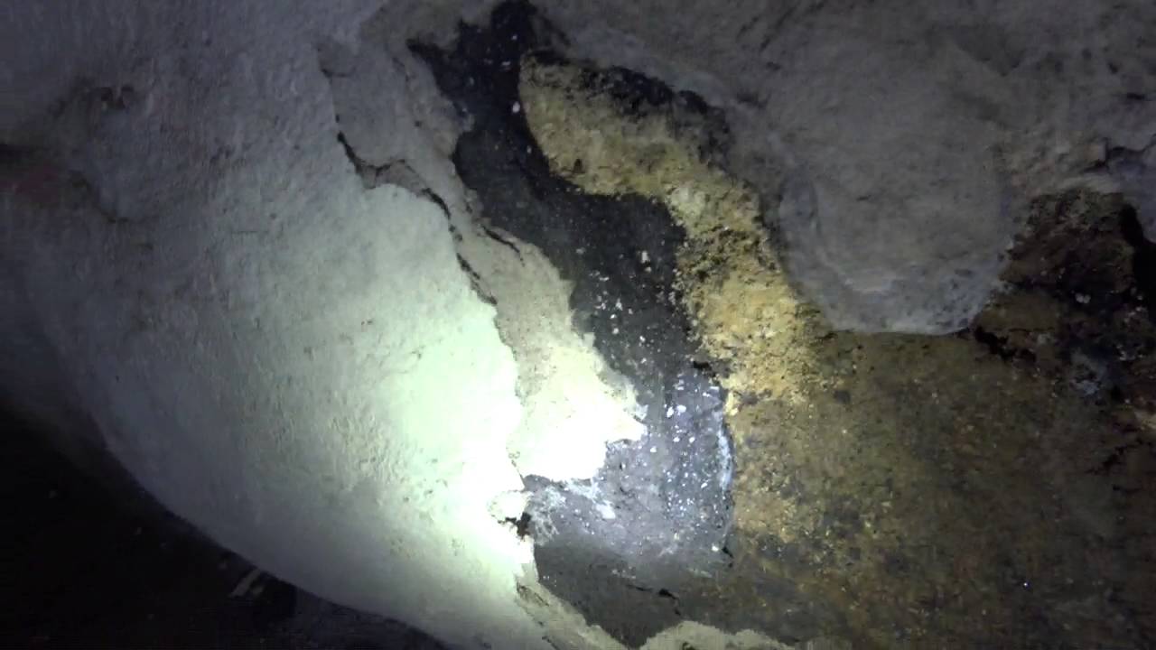 PCA Damp Wally damage to a Welsh cottage