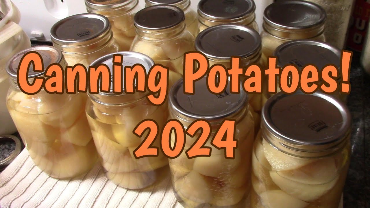 Canning Potatoes 2024