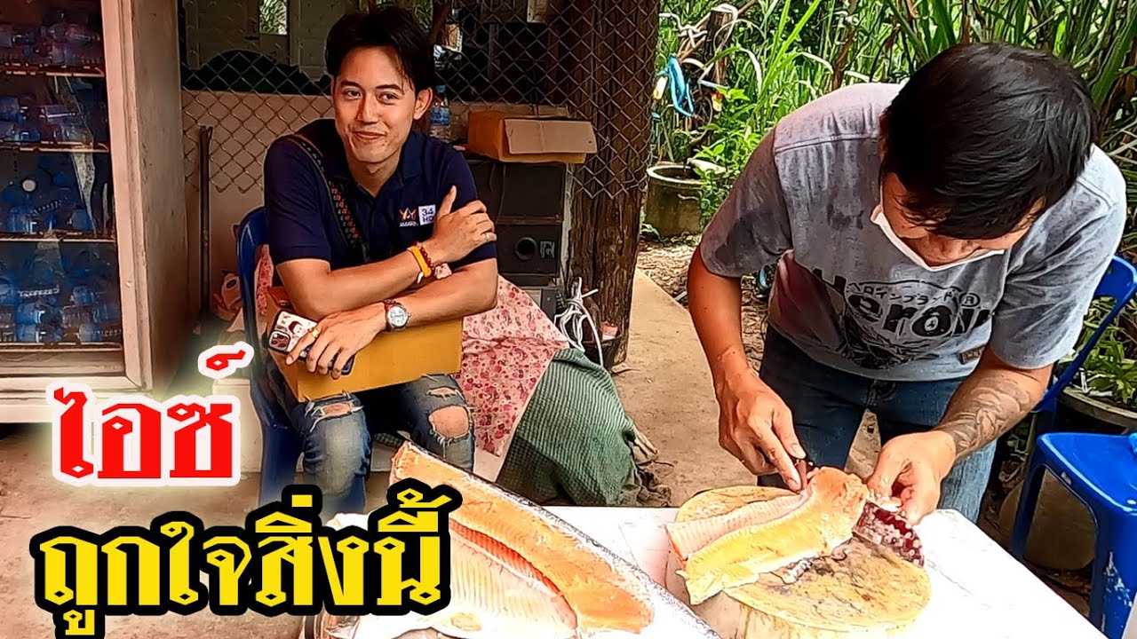 #น้องไอซ์ สารวัตร นั่งดูหนุ่ม #โจ channel แร่ปลาแชลม่อน และเบื่องหลังกว่าจะให้#ลุงพล กินโชว์