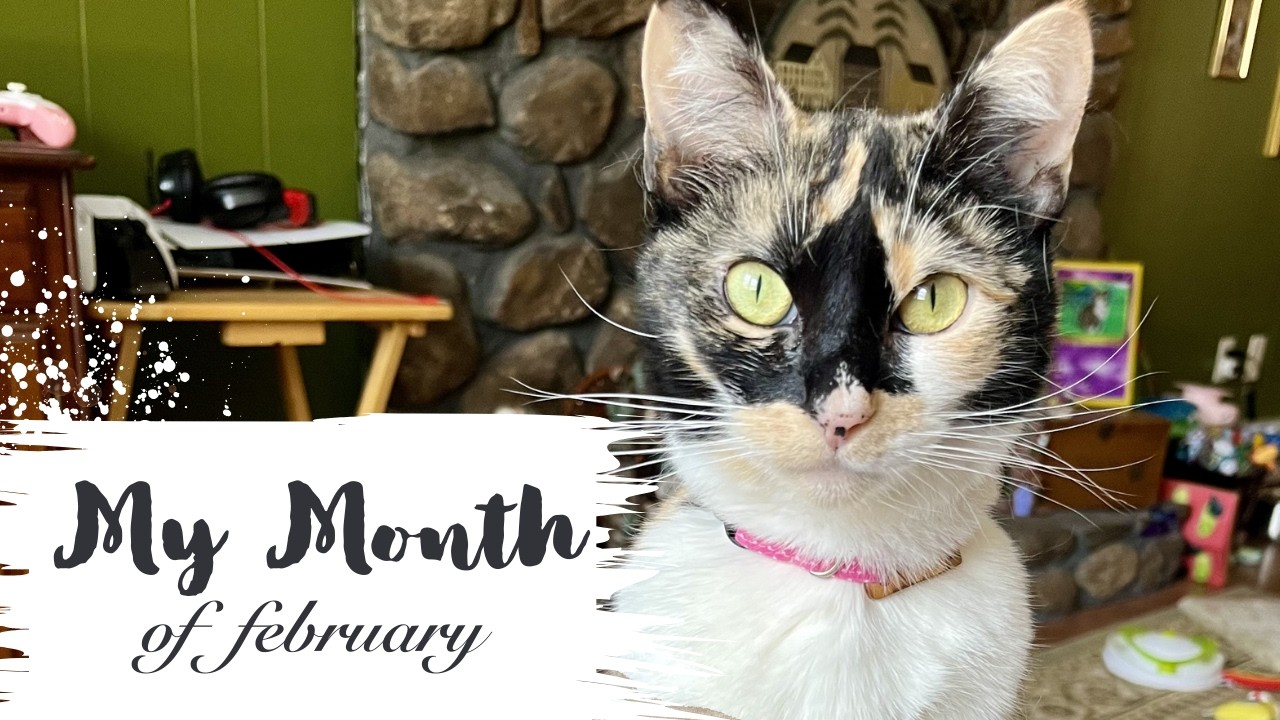 My Month of February | 2026