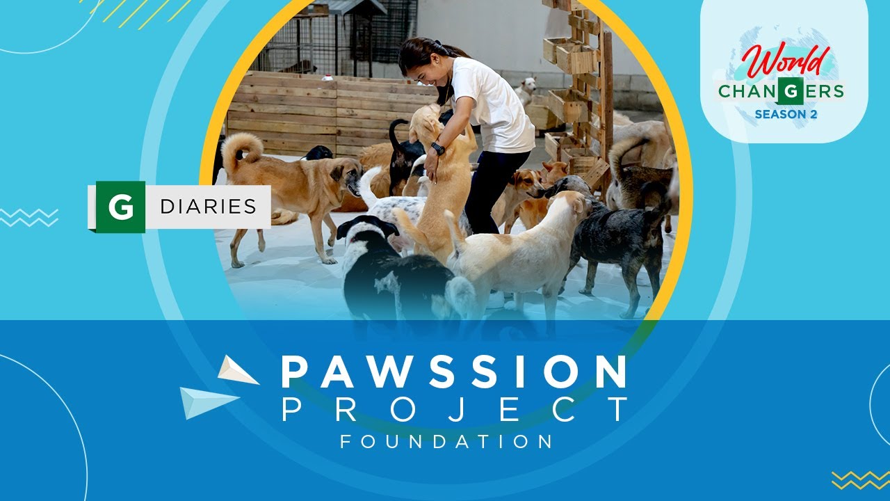 World Changers: Pawssion Project Foundation