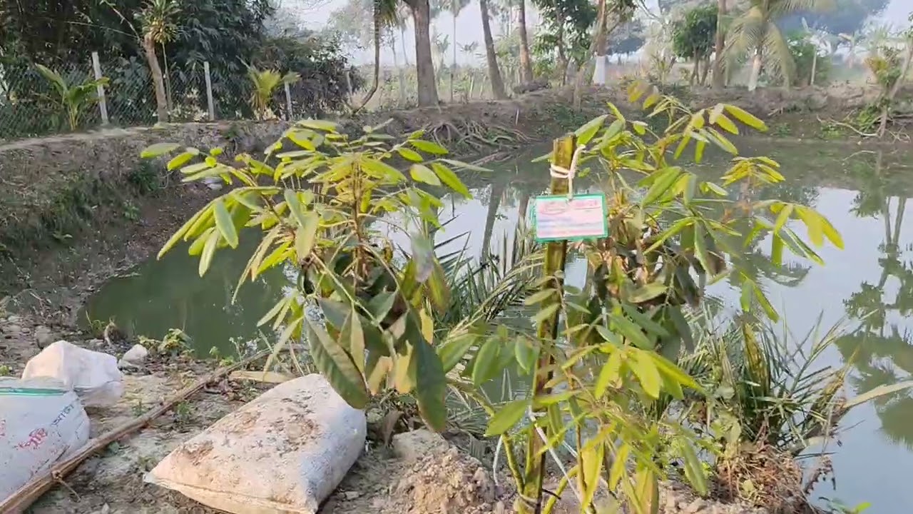 🌿 Welcome to Sherry Nature Haven 🌿