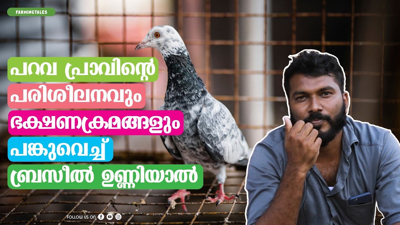മലബാർ UNLIMITED #parava ടൂർണമെന്റിൽ MALAPPURAMഉണ്ണിയാലിലെ ഏറ്റവും മികച്ച സമയം കുറിച്ച BRAZIL UNNIYAL