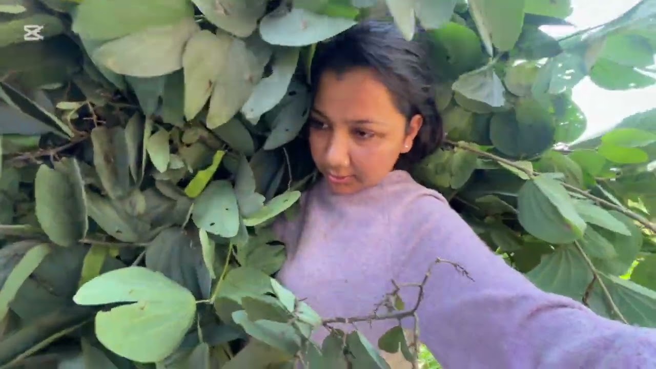 Ktm bata aayeko 5 din paxi khetma gako 🥰#home #gorkhanepal #minivlog #dayinmylife 
