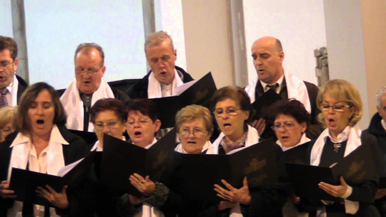 Zbor Gospe Lurdske Rijeka