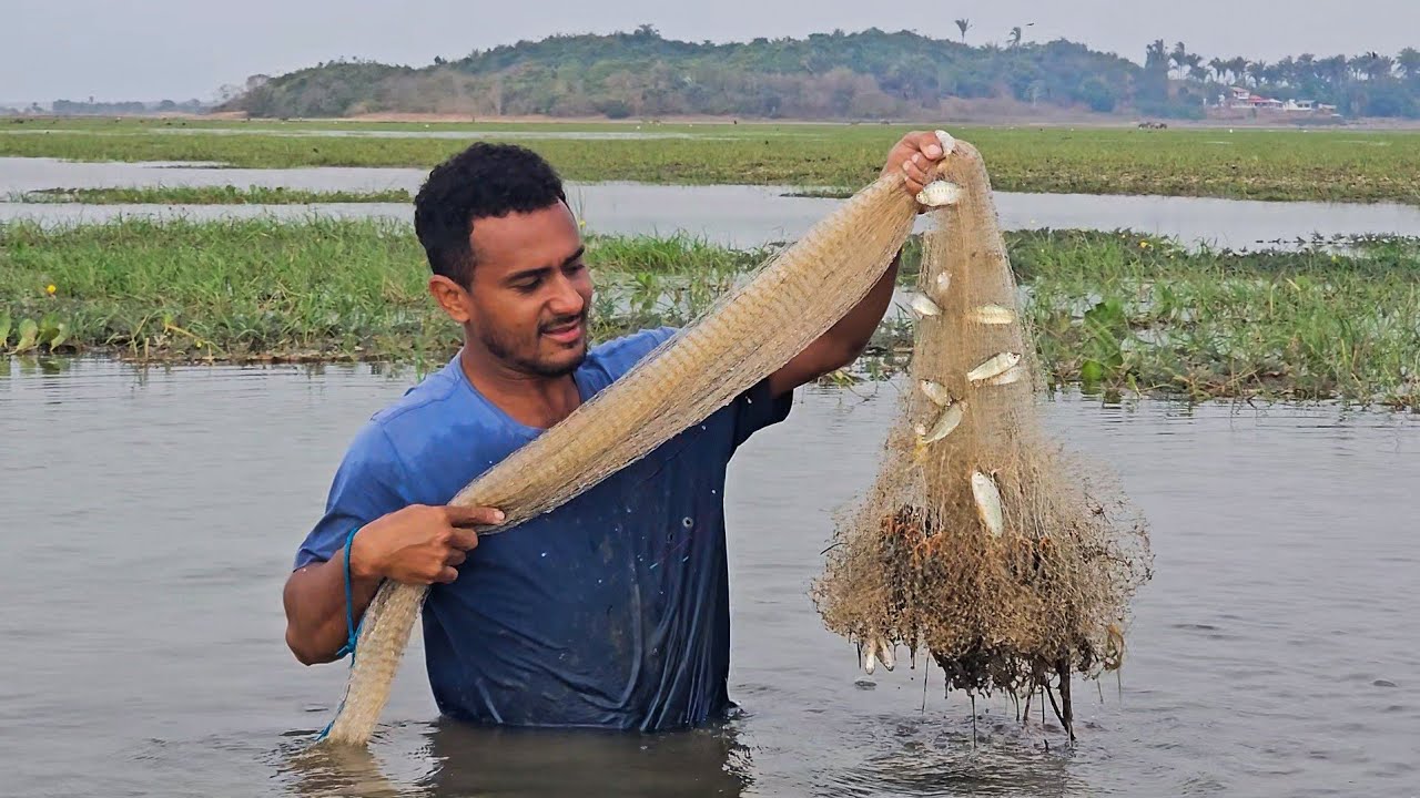 Peguei vários peixes na pescaria de tarrafa