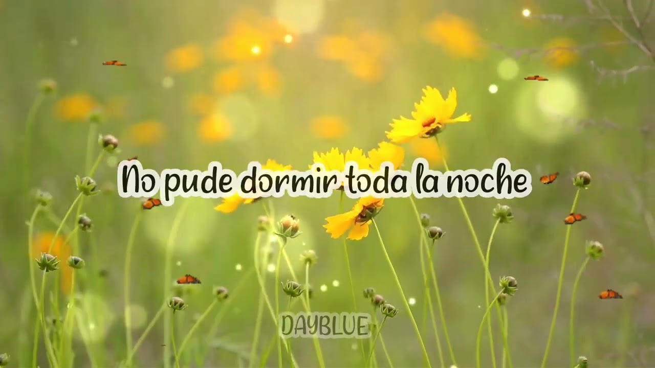 Everyday - Han Hae Bin [Because This Is My First Life] (Sub Español)