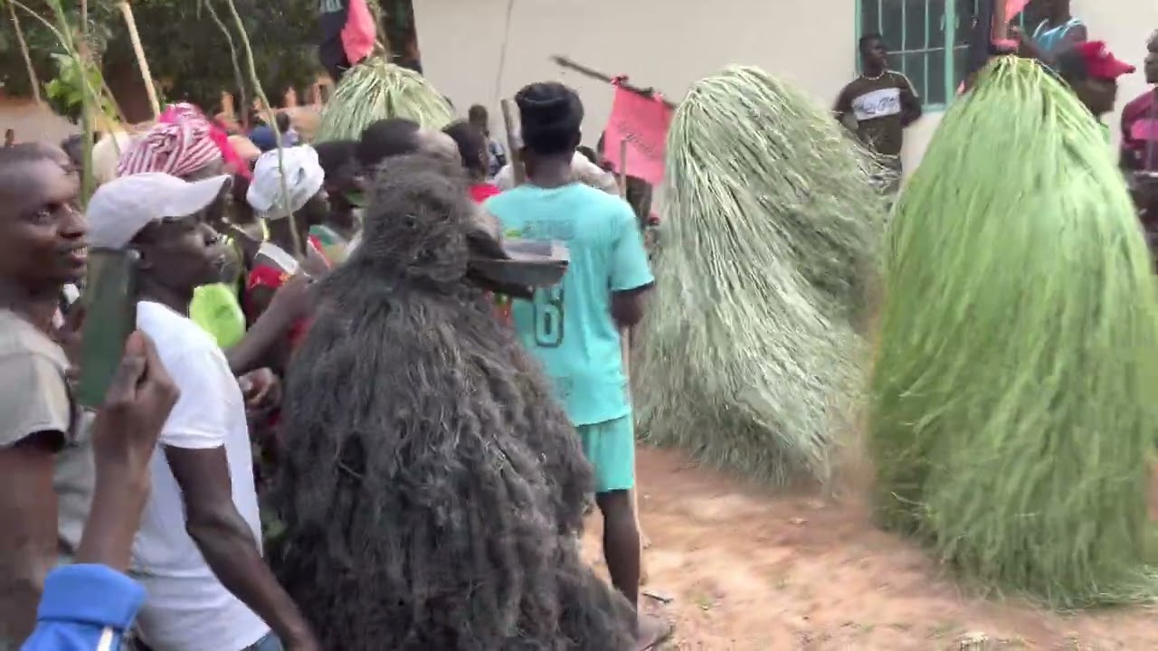 TOUR EN CASAMANCE 🇮🇹( DIEGOUNE)