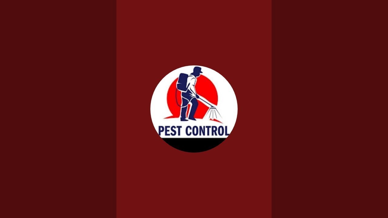 BPK pest control 999 లైవ్ స్ట్రీమింగ్ చేస్తున్నారు!