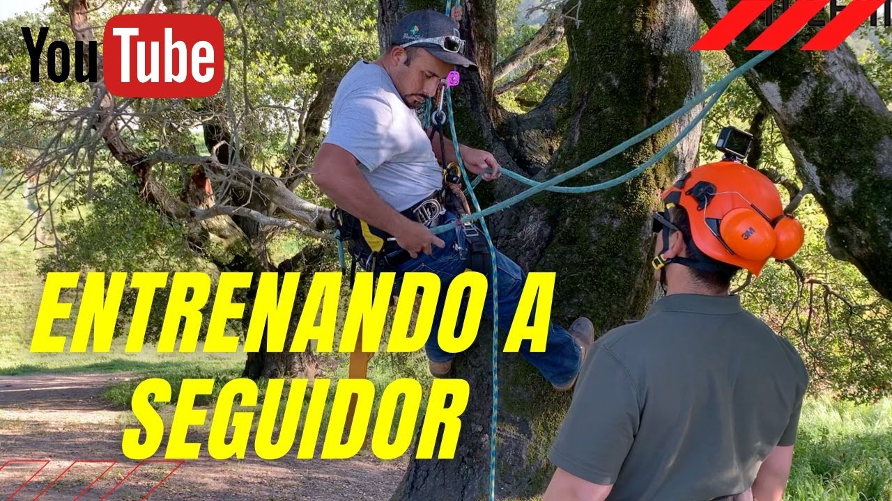 Entrenamiento para trepar arboles