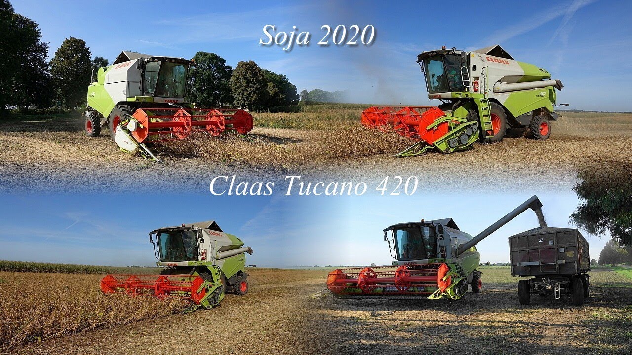 Wielkie Sojowe Żniwa 2020 || Claas Tucano 420 || PGR Polan Krzczonów || odc.30 ||