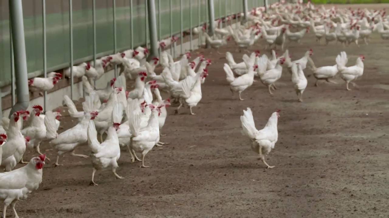 Nijenkamp item Doe Maar Duurzaam! RTL7 S05E01 28 juli 2016