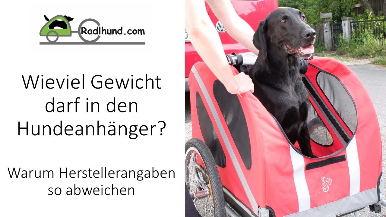 Hundeanhänger - wieviel Gewicht darf ich einladen?