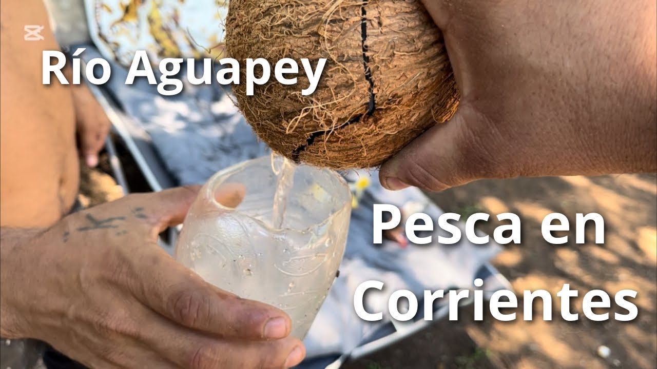 Tercera pesca consecutiva en Rio Aguapey! tomamos agua de coco, asado, picada y más..!