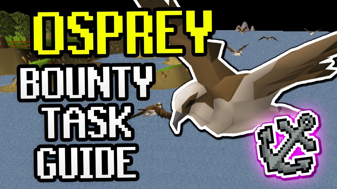 Руководство по заданию &laquo;Osprey Bounty Task&raquo; &mdash; Руководство по обучению парусному спорту OSRS