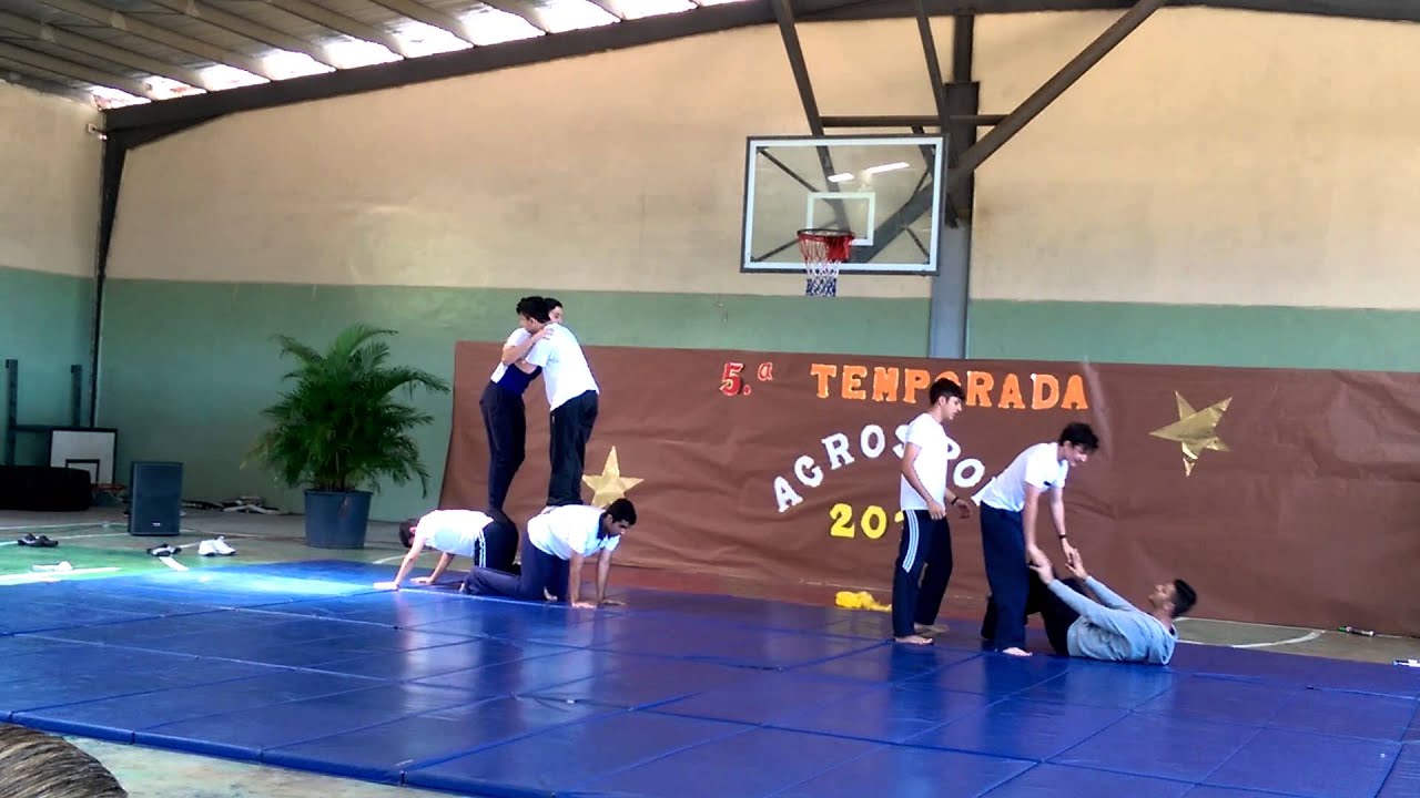 A.I.A.P.2016 Temporada Acrosport 11Grade