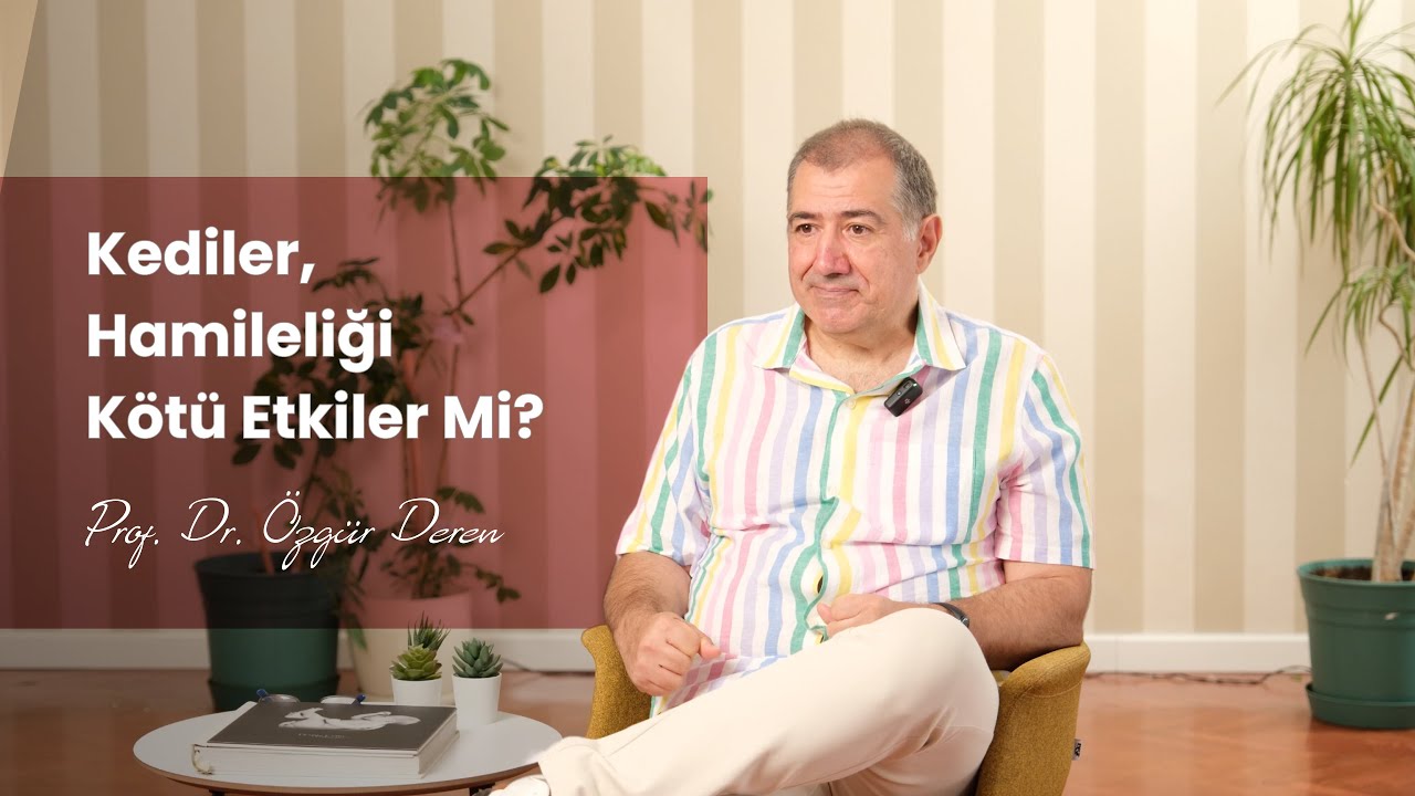 Kediler, Hamileliği Olumsuz Etkiler Mi? | Toksoplazma Nedir? | Prof. Dr. Özgür Deren | Perinatolog