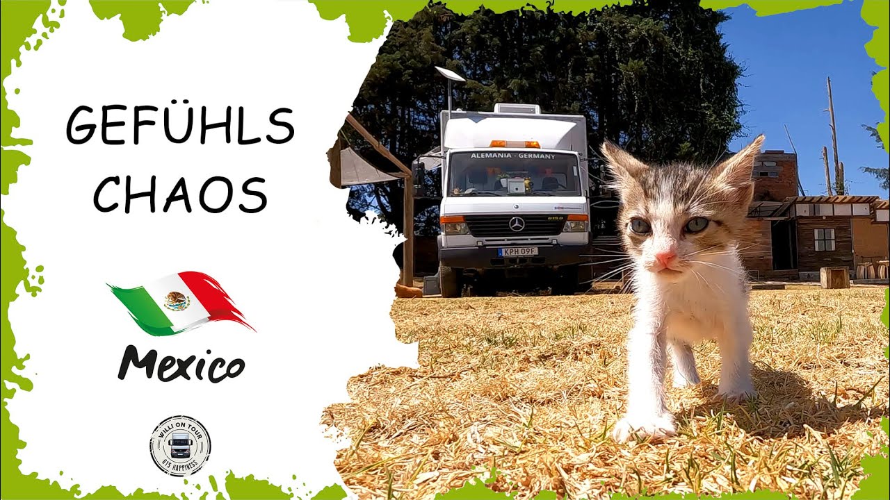 Gefühlschaos - Die andere Sicht auf Mexiko mit Camper und Hund | 45