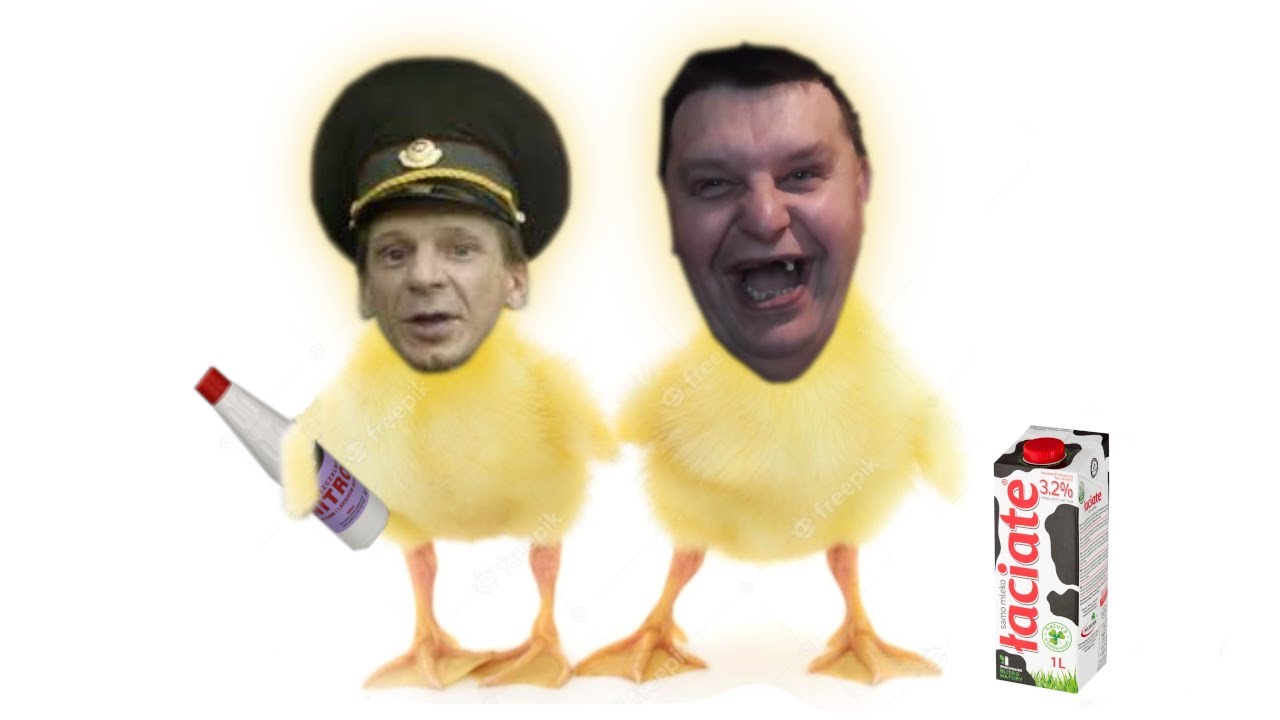 Kononowicz KACZUSZKI! | Szkolna 17