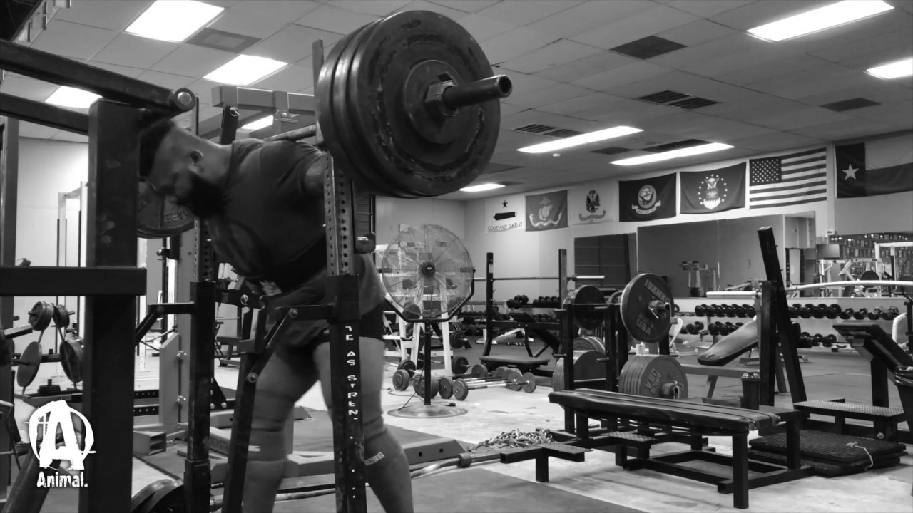 The Animal Underground: Rob Hall Squats