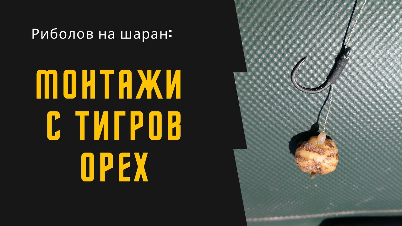 Риболов на шаран: Монтажи с тигров орех