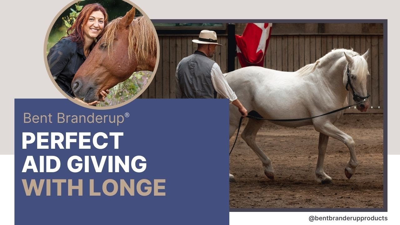 Lunging correctly with the Bent Branderup® Lunge: Your key to fine aids 🐴