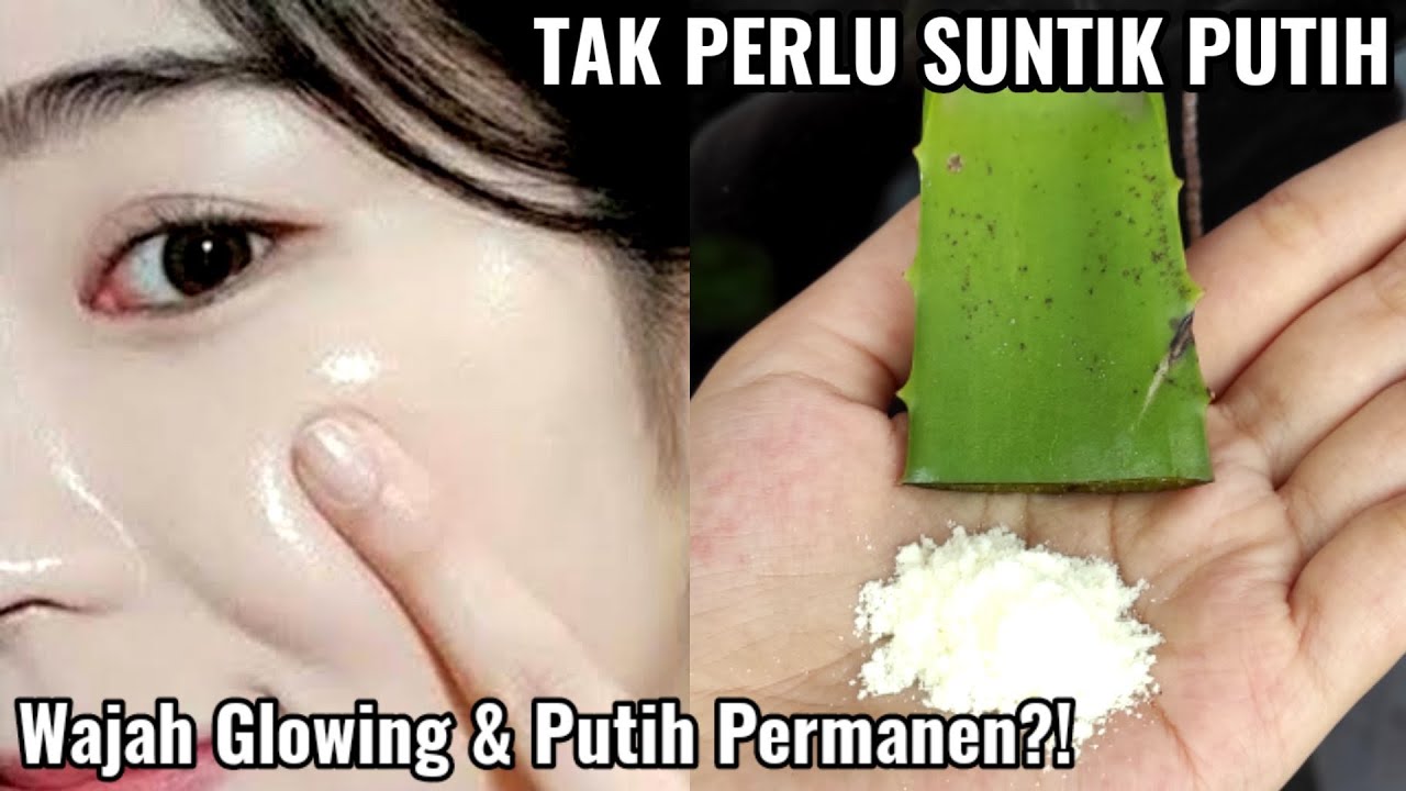 LAGI VIRAL! CARA WAJAH GLOWING & PUTIH PERMANEN DENGAN LIDAH BUAYA | WAJAH BEBAS KERUTAN #wulanhusna