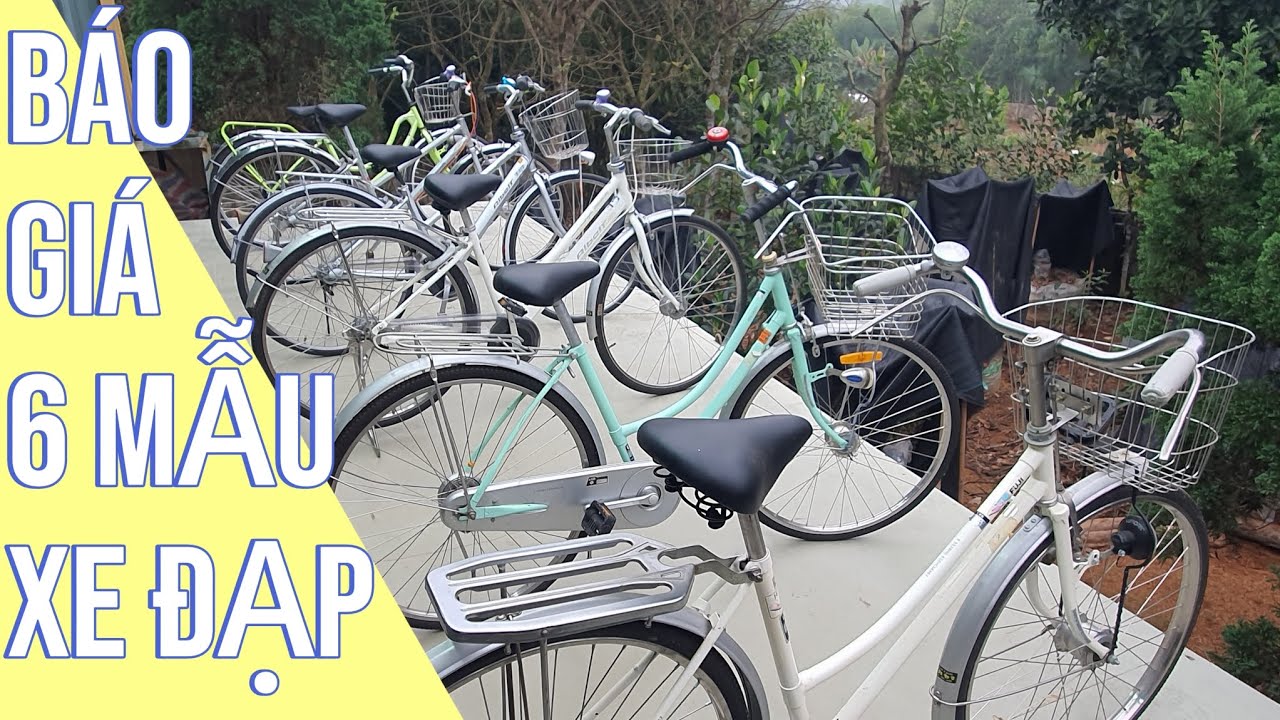 Báo Giá 6 Mẫu Xe Đạp Mini, Cào Cào Nhật Bãi - 0865.397.612